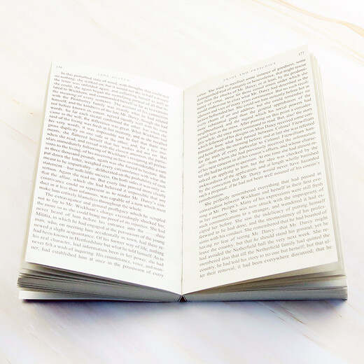 傲慢与偏见 英文原版 Pride and Prejudice 简奥斯汀 经典文学名著 搭理智与情感 爱玛 劝导 简爱 弘书阁英语文库十大经典之一