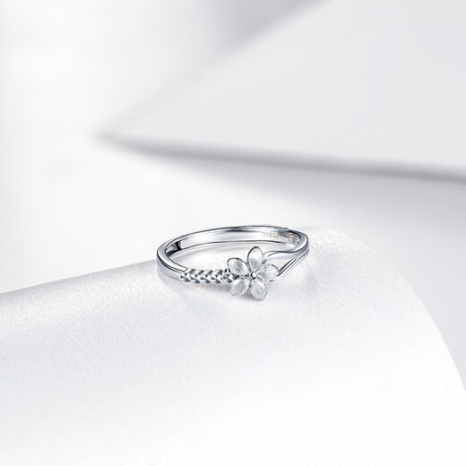 Saturday Fortune PT950 Fashionable Platinum Ring Women's Love Birthday Gift PT013140 No. 12 About 2.74g