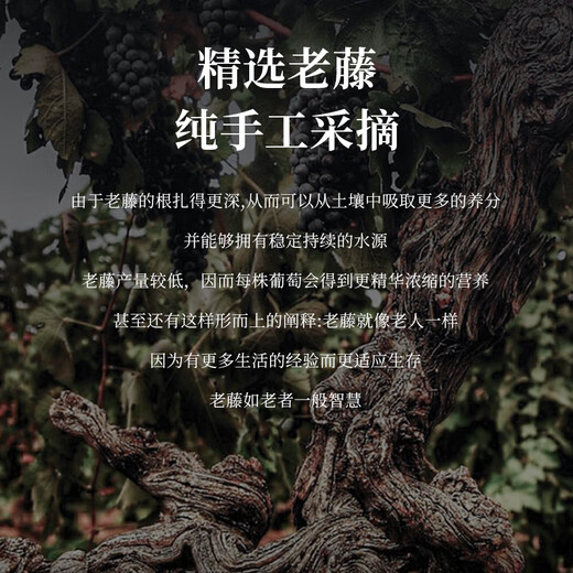 纽慕（NIOMIO）【单瓶尝鲜】法国原瓶进口红酒瑞蒂干红葡萄酒 750ml一瓶装