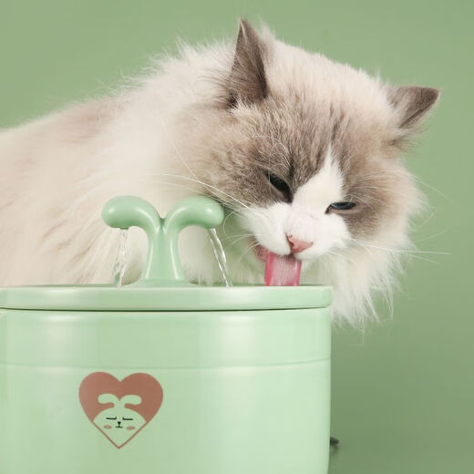 Rafxin's latest ceramic pet cat and dog drinking fountain, automatic constant temperature, intelligent cycle water feeding, cartoon cat bowl, charging cake (Lake Blue charging model)