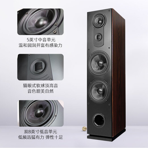 Balenald 156 haut-parleur de mise au plancher Double de 8 pouces basse fièvre fièvre hifi à trois minutes fréquence double 8 pouces en bois passif audio paire d'enceintes au sol + 698 amplificateur un
