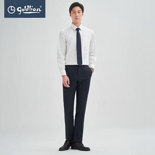 Jinlilai [nanofreies Eisen/Anti-Falten] Frühling und Herbst Langarm Shirt Herrengeschäftshemd Solid Color-White 00L1 L