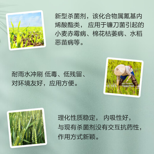 Jinhu 25% cyanostrobin, wheat field scab, rice bakanae, pesticide and fungicide 1000g