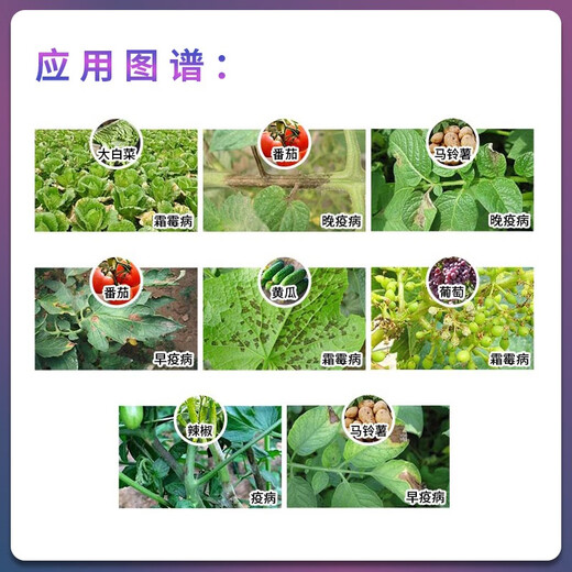 Corteva DuPont Corteva Zengwei Yingxu 31% Oxone Fluthiazole Grape Downy Mildew Late and Early Blight Pesticide Fungicide 11ml