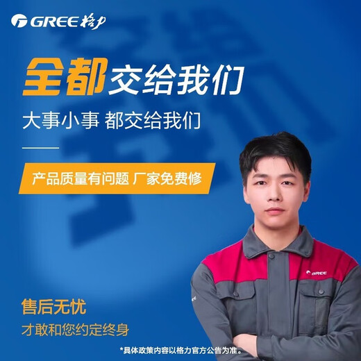 Gree (GREE) central air conditioner home frequency conversion first-class energy efficiency multi-split (one price all-inclusive) Star3 generation cooling and heating power-saving embedded Gree Seiko installation 8 HP first-class energy efficiency star3 generation one to seven - suitable for five rooms and two living rooms