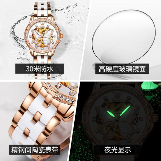 欧利时（OLEVS）瑞士认证品牌手表女机械表简约气质女士手表全自动夜光防水女表 欧利时-6622-陶瓷玫白女