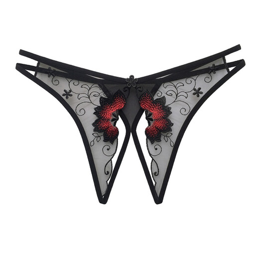 Please Confidential Shipping Fancy Sexy Panties Women's Transparent Mesh Embroidered Sexy Thong Adult Room Red