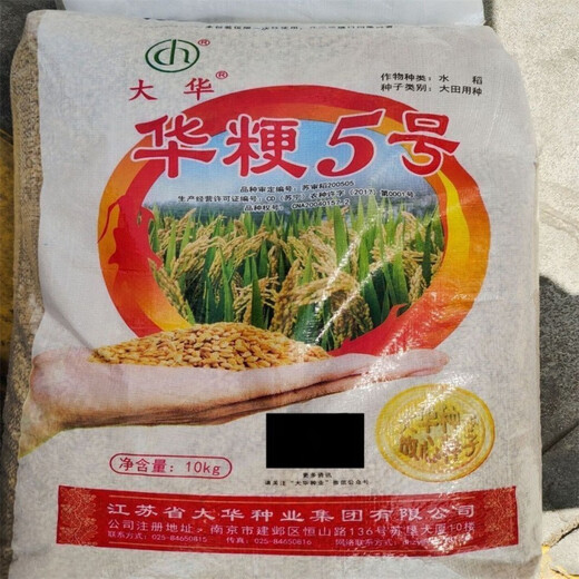 Authentic and delicious rice seeds that can be planted, upland rice seeds, upland rice fragrant rice, upland rice seeds, glutinous rice seeds, national approved direct-seeded upland rice seeds, dry land large fields, bulk name, simple packaging, semi-Jin Jin, equal to 0.5 kilograms, 250 grams