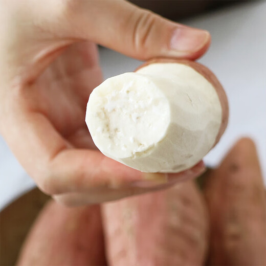 Jingxiansheng Shandong Hami rock sugar sweet potato net weight 9Jin Jin is equal to 0.5kg, single fruit 150g + family pack, delicate taste, straight from the source