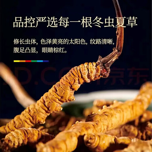 
Cordyceps sinensis, high-altitude cordyceps in Tibetan areas are affordable for self-use, holiday gifts, gift boxes, 2 sticks/gram (50 sticks gift boxes)