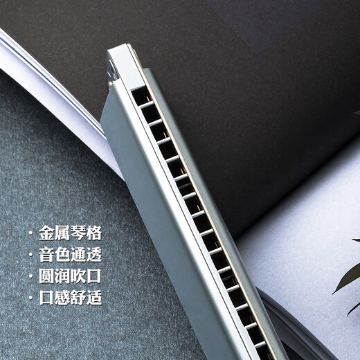 Hole Sound (KONGSHENG) Hole Sound 24 Hole Monotone Harmonic High-end Adult Performance ABCDEFG# Tune Metal Aluminum Grid Imported Gong Gong Harmonic [Professional Performance Level] Monotone #C Tune
