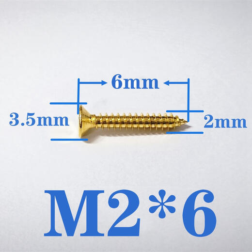 Pengju Golden 304 Edelstahlschraube Kreuzungsköpfe selbstklopfen ausgedehnt flacher Kopf Holzzahnschraube M2m3m4m5m6 m2*20200 Stücke