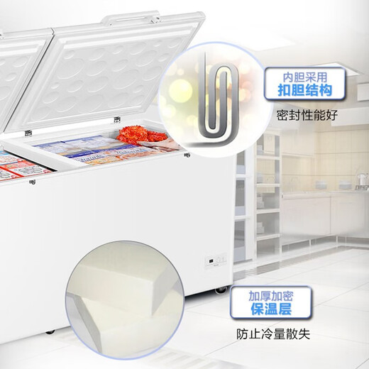 海尔（Haier）冰柜家用商用零下38度速冻大容量冷冻柜转换超低温海鲜深冷卧式柜五面制冷国家补贴20% 【零下38度】电子控温 719升