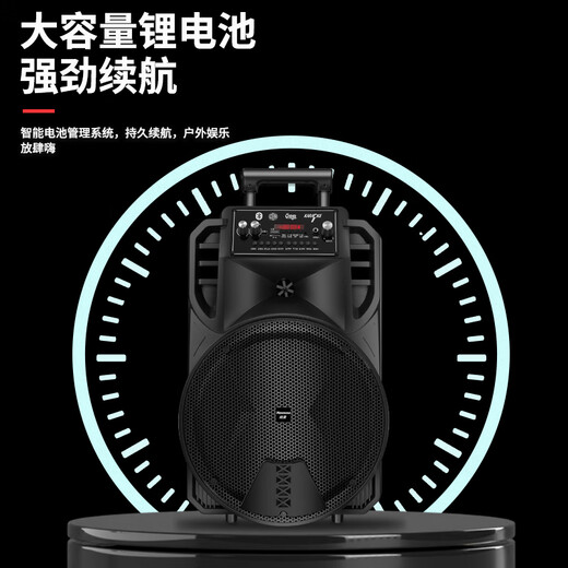 Newman N509 Square Dance Audio Mobile Home Outdoor Karaoke Bluetooth Speaker Trolley Portable Heavy Bass Large Volume Super Long Battery Life with Microphone 12 Inch