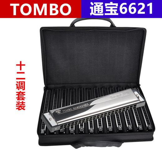 通宝日本进口通宝TOMBO口琴6621复音12调7调套装成人初学高级演奏乐器 21孔 通宝6621复音【七调套装】（送伴奏u盘）