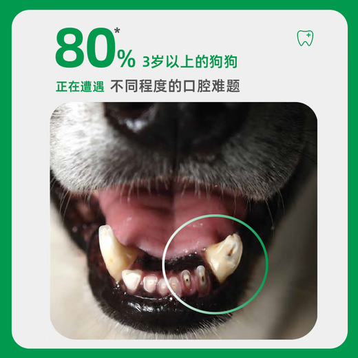 Domejie Dog Mouthwash Dog Bad Breath Cleansing Stone Natural Edible Fresh Breath Pet Dog Natural Fresh Breath Teeth Cleaning Water 1000ml