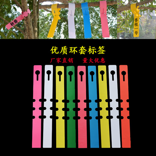 Shipton PVC waterproof ring set flower plant label seedling gardening label plastic orchid label ring buckle tag ring set - blue (100 photos)