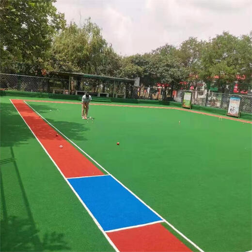 Gate court special artificial turf putting green plastic fake turf simulation artificial carpet curved lawn turf professional small sample