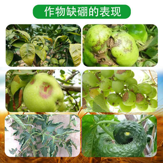 Haifa Kalif fluid boron liquid boron water-soluble boron fertilizer vegetable and fruit tree fertilizer foliar fertilizer to protect flowers and fruits trace elements 1400g