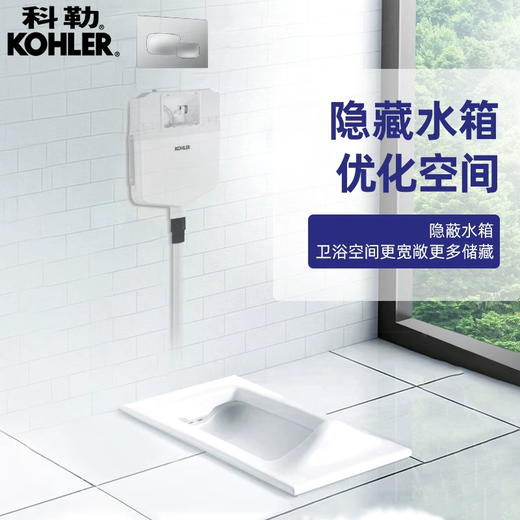 Kohler squat toilettes à chasse d'eau toilettes squat de type fosse de fosse en céramique ménage caché squat toilet