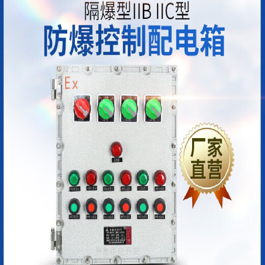 先明(500*600*200)防爆配电箱接线箱不锈钢防爆箱空箱检修插座箱监控仪表控制柜剪板C1098