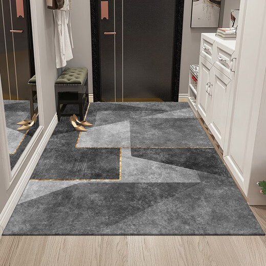 Gudie entrance door floor mat, door mat, no-care, stain-resistant, no-wash doorway, water-absorbent, non-slip, household cuttable XZ-340 100*160cm thickened/cuttable