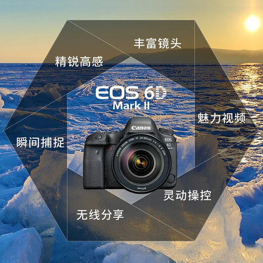 Canon EOS 6D Markii Camera SLR de fotograma completo 6D2 Stand-Alone/Set 4K Video Professional Vlog Vlog Camera EOS 6D2 Single Body (sin incluir lente) Set 2 [Lista Detalles desplegables]