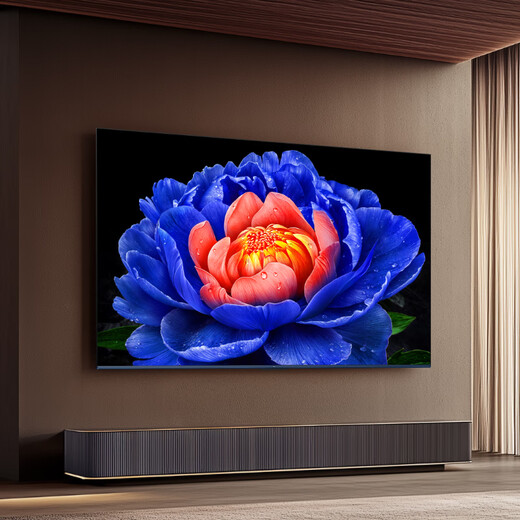TCL TV 55V8L Pro 55-inch 144Hz high brush QLED quantum dot 3GB+64GB large memory 4K state subsidy