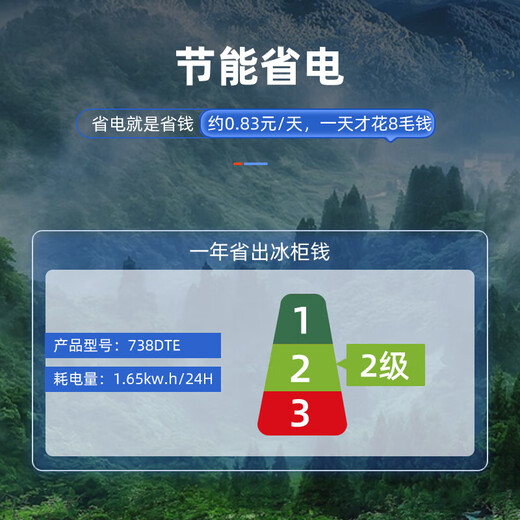 美菱（MeiLing）商用冰柜大容量冷冻柜 零下40度 电控超低温冷藏冷冻单温转换柜 商超鲜肉茶叶速冻大容量冷柜补贴 738DTE【PCM钢胆】 738L 零下40度