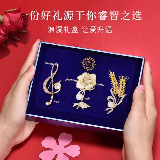Ancient brooch, high-end women's exquisite niche corsage gift box, light luxury and elegant pin, silk scarf buckle birthday gift for women, practical temperament and fashionable brooch 3-piece set