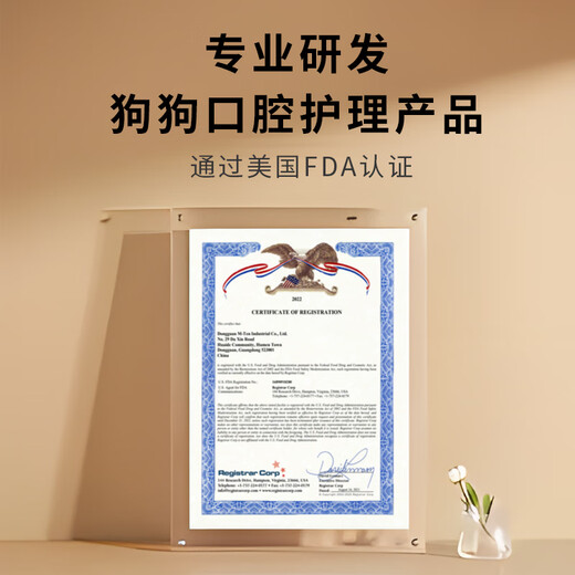 EETOYS Large Ring Dog Toy Eats and Plays Combining Teeth-Resistant Bite Cleaning Stick to Relieve Boredom in Alone Pet Supplies