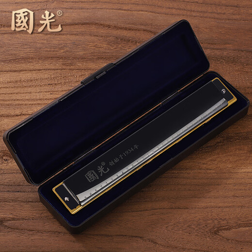 Guoguang Shanghai 28-Loch-Stress-Harmonika für erwachsene professionelle Leistungsstufe polyphonischer C-Touch-Weitweite für Anfänger Wide Range-Stress Silber + Standard