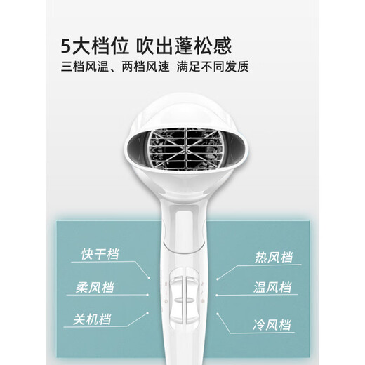Secador de cabello de Borui para el hogar de cuidado de cabello de iones negativos para el hogar para estudiantes plegables alta potencia sin daños en la secadora de cabello de poder secador de cabello Borui hierba verde FH6296 mismo