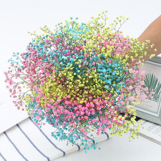 AIMAN Yunnan straight-haired dried flower bouquet real flower home furnishing decoration small fresh living room office decoration air-dried bouquet colorful baby's breath without vase