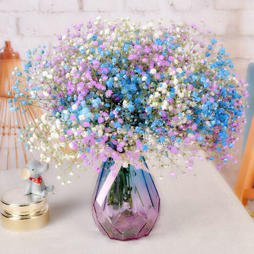AIMAN Gypsophila Natural Dried Flower Bouquet Ins Internet Celebrity Birthday New House Decorative Ornaments Air-Dried Real Flower Arrangements Home Furnishings Yellow + Pink + Sapphire Blue Gypsophila Without Vase