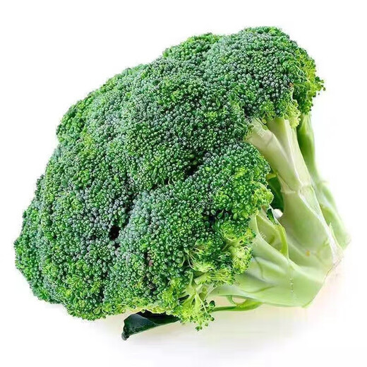 Broccoli seeds broccoli seeds loose cauliflower seeds cauliflower green cauliflower seeds four seasons vegetables original purple cauliflower seeds 4 bags (about 400 grains