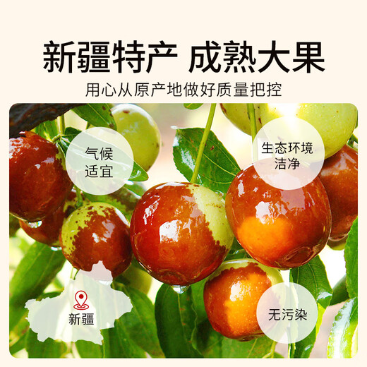贡苑 红枣片302g 新疆大红枣干无核枣片可搭枸杞菊花草茶泡水免洗即食