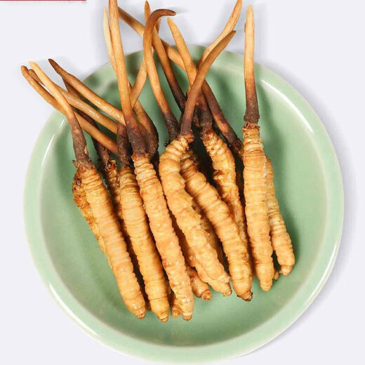 北京同仁堂冬虫夏草冬虫夏草2-6根/克虫草干货泡酒虫草 同仁堂-30/25g装