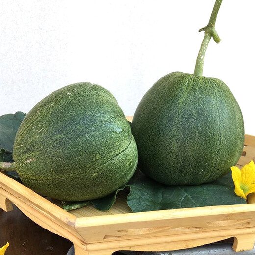 Zhongke Maohua fruit seeds green melon seeds emerald South Korea emerald green jade green skin green flesh melon seeds green jade 600 capsules/bag dark green skin large fruit type