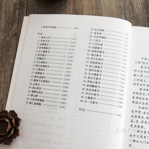 怎样写篆书甲骨文金文技法集唐诗章法入门毛笔书法练字帖临摹字典 精装篆书字典795页