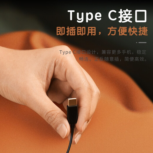 漫步者（EDIFIER）H180Plus Type-C有线耳机 在线会议耳机 K歌耳麦 Hi-Res金标认证 适用于华为小米oppo手机  白色