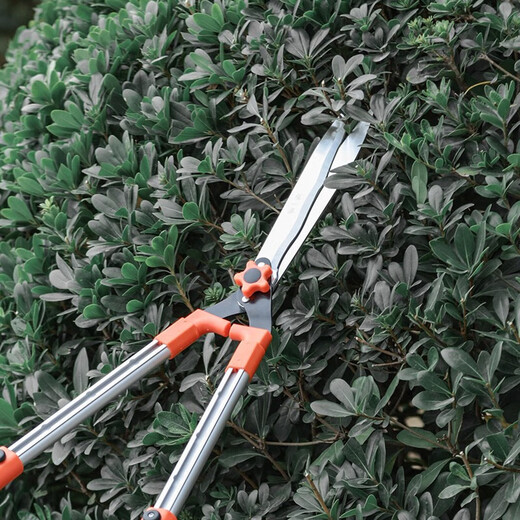 Zhang Xiaoquan Hedge Shears Telescopic Branch Shears Floral Scissors Aluminum Handle Fence Shears Lawn Shears Flower Bed Shears Gardener's Hedge Shears 640mm-S10560200