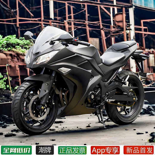 Chelanda motorcycle sports car new road racing twin-cylinder water-cooled 400c engine can be registered Kawasaki off-road motorcycle ninja Black Samurai Ninja 250cc cannot be registered (naked car)