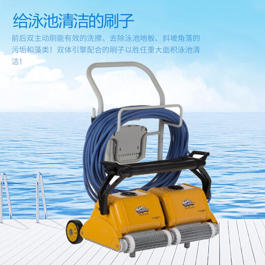 Maytronics Dolphin 2 2 fully automatic sewage suction machine swimming pool intelligent underwater cleaning robot underwater vacuum cleaner Dolphin 2x2 including swimming pool chemicals