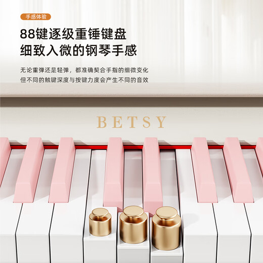 贝琪（Betsy）B365电钢琴重锤88键初学者入门成人专业学习抽屉式电子钢琴 B365重锤键-木纹白 高配（琴+学琴礼包+双人琴凳）