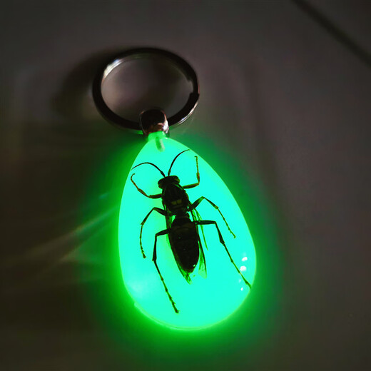 DR-FLVVS insect luminous amber car keychain ring Korean version cute cartoon pendant for men and women as a gift Bumblebee-luminous buckle