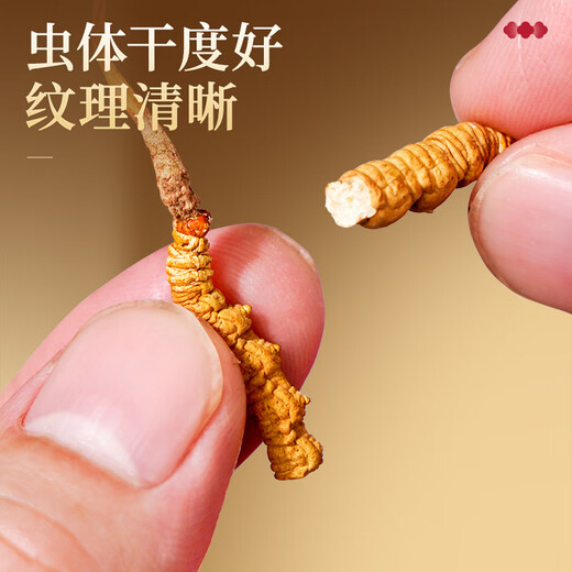雷允上冬虫夏草断草10g断虫草虫体饱满家庭实惠装礼品高端滋补品