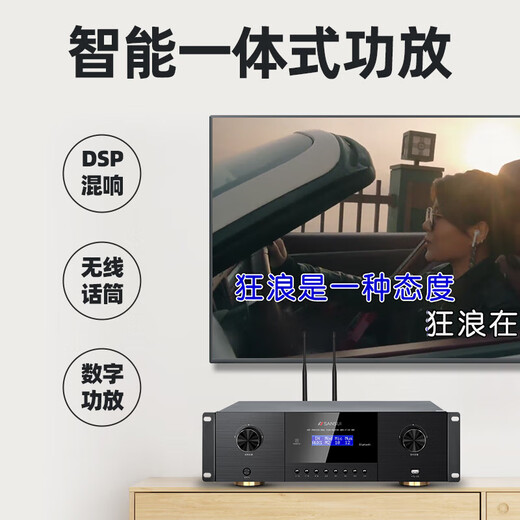 Shanshui (Sansui) FK-101 Home KTV Audio K Canción Conjunto de Karaoke Amplificador de alta potencia Paquete de tarjetas caseras Altavoces de citas para el hogar
