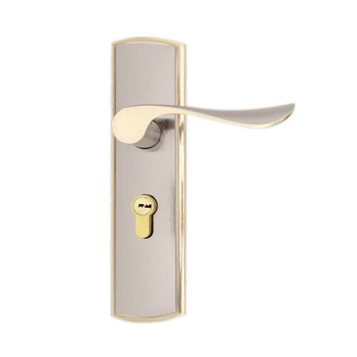 XMSJ LOCKSETZUNGSPLOSS GLEIBE PANKEMENTER MENTION LOCKENTRIFT 50 mm Griff
