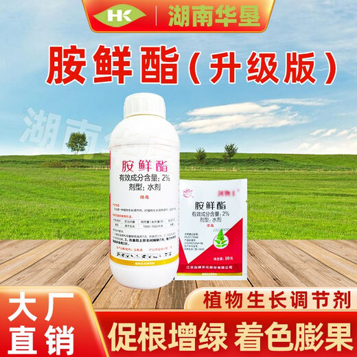 Acetate plant growth regulator pesticide prevents premature aging and enlarges fruit rhizomes flowers and fruit trees stress resistance 500 grams of acetate (upgraded version) * 1 bottle